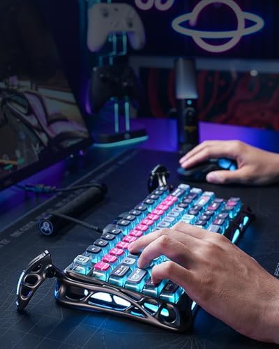GravaStar Mercury V75 Pro HE Keyboard   75  Layout Gaming Keyboard  Hall Effect Magnetic Switches  Only Wired  Hot Swappable  8000 Hz Polling  Dual Zone RGB  Semi Aluminum Frame with Cyberpunk