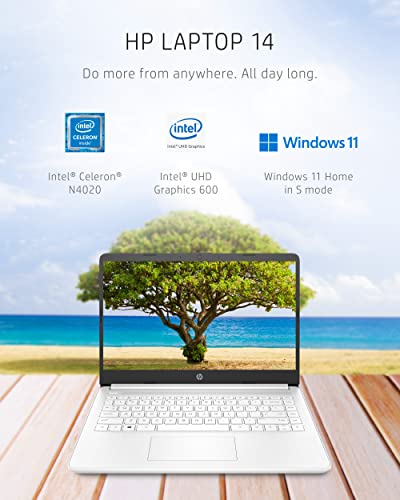 HP 14 Laptop  Intel Celeron N4020  4 GB RAM  64 GB Storage  14 inch Micro edge HD Display  Windows 11 Home  Thin & Portable  4K Graphics  One Year of Microsoft 365  14 dq0040nr  Snowflake White 