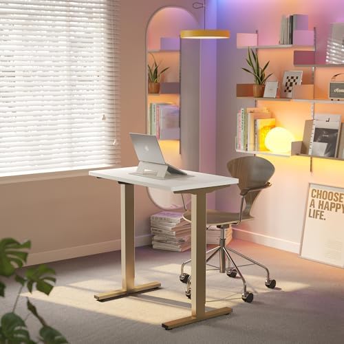 HUANUO 48 x 24 Electric Standing Desk Adjustable Height  4 Memory Height Settings  Headphone Hook  Cable Manager  Sit Stand Up Desk for Home Office & Computer Workstation  Black