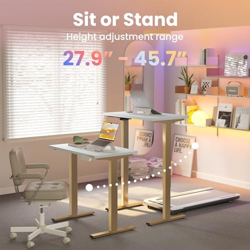 HUANUO 48 x 24 Electric Standing Desk Adjustable Height  4 Memory Height Settings  Headphone Hook  Cable Manager  Sit Stand Up Desk for Home Office & Computer Workstation  Black
