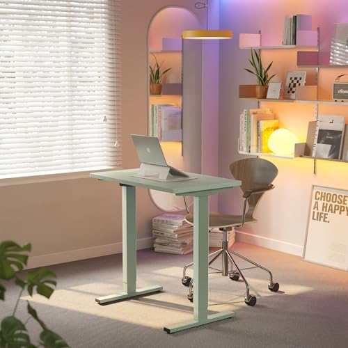 HUANUO 48 x 24 Electric Standing Desk Adjustable Height  4 Memory Height Settings  Headphone Hook  Cable Manager  Sit Stand Up Desk for Home Office & Computer Workstation  Black