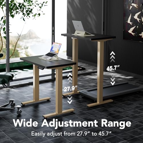 HUANUO 48 x 24 Electric Standing Desk Adjustable Height  4 Memory Height Settings  Headphone Hook  Cable Manager  Sit Stand Up Desk for Home Office & Computer Workstation  Black