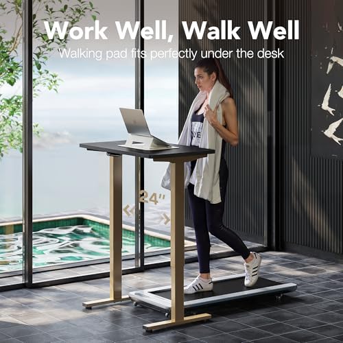 HUANUO 48 x 24 Electric Standing Desk Adjustable Height  4 Memory Height Settings  Headphone Hook  Cable Manager  Sit Stand Up Desk for Home Office & Computer Workstation  Black