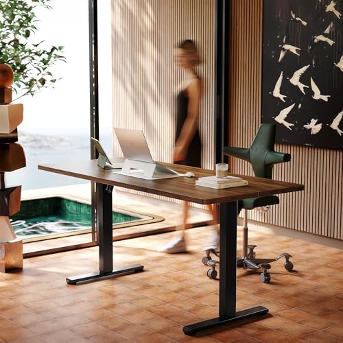 HUANUO 48 x 24 Electric Standing Desk Adjustable Height  4 Memory Height Settings  Headphone Hook  Cable Manager  Sit Stand Up Desk for Home Office & Computer Workstation  Black