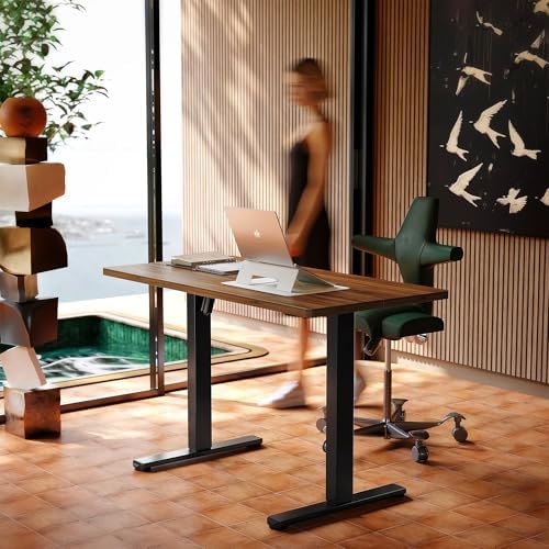 HUANUO Electric Standing Desk 48 x 24 Height Adjustable Desk  4 Memory Height Settings  Sit to Stand Up Desk for Home Office  with Headphone Hook  Cable Manager  Black