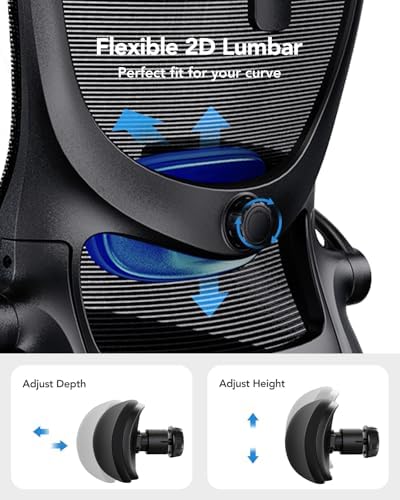 HUANUO Ergonomic Office Chair  High Back Computer Desk Chair with Adjustable Lumbar Support and Headrest  Comfy Gaming Chair with 3D Armrests  Home Office Rolling Chair  Max Load 300 lbs