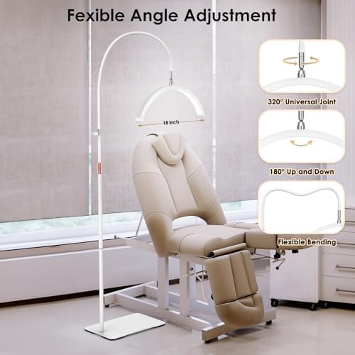 Luz de media luna para tecnología de pestañas, lámpara de pestañas de cuello de cisne con soporte para teléfono para arte de pestañas, tatuajes y cuidado de la piel, lámpara de pie LED