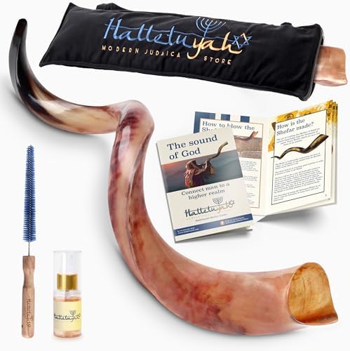 HalleluYAH Kudu Shofar original Kosher totalmente pulido | De Israel