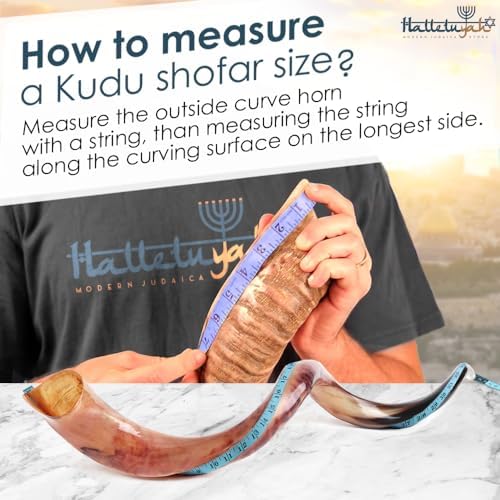 HalleluYAH Kudu Shofar original Kosher totalmente pulido | De Israel