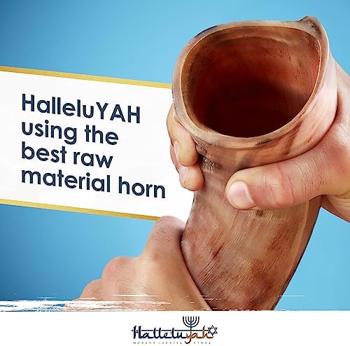 HalleluYAH Kudu Shofar original Kosher totalmente pulido | De Israel