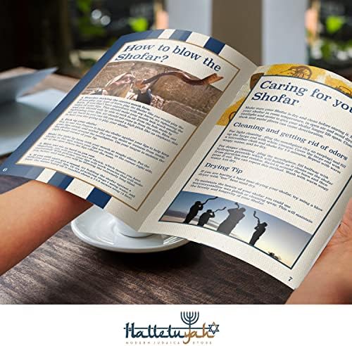 HalleluYAH Kudu Shofar original Kosher totalmente pulido | De Israel