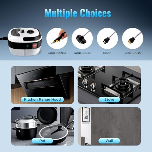 Limpiador de vapor presurizado de mano, 110 V, 2500 W, vaporizador portátil de mano de 1 litro, limpiador de vapor para automóvil, 6 velocidades de alta velocidad, temperatura de presión