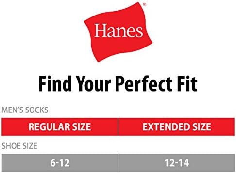 Hanes Mens Max Cushioned Ankle Socks  Multipacks 