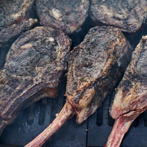 Hardcore Carnivore Black  Activated Charcoal Meat Seasoning Rub  13 oz Shaker  Texas Made  Blend for Steak  Brisket  Burgers  BBQ  Grilling and Smoking