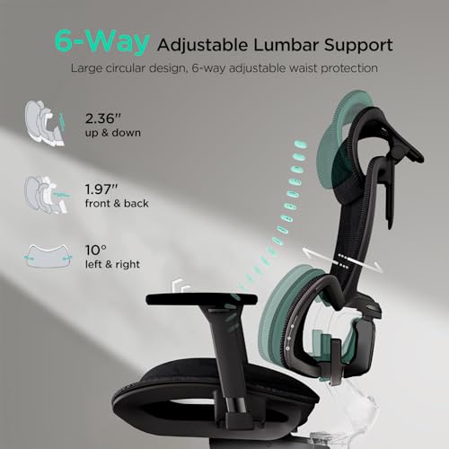 Hbada E2 Ergonomic Office Chair  Big and Tall Mesh Office Chair with 6 Way Dynamic Lumbar Support  3D Adjustable Armrests  3D Adjustable Headrest  High Back for Computer Chair  Black No Footrest
