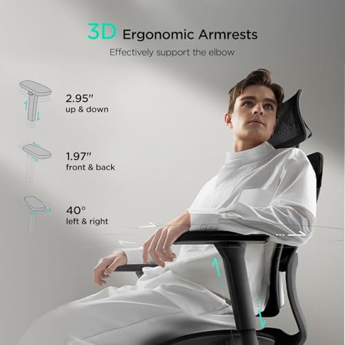 Hbada E2 Ergonomic Office Chair  Big and Tall Mesh Office Chair with 6 Way Dynamic Lumbar Support  3D Adjustable Armrests  3D Adjustable Headrest  High Back for Computer Chair  Black No Footrest
