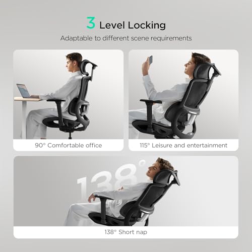 Hbada E2 Ergonomic Office Chair  Big and Tall Mesh Office Chair with 6 Way Dynamic Lumbar Support  3D Adjustable Armrests  3D Adjustable Headrest  High Back for Computer Chair  Black No Footrest