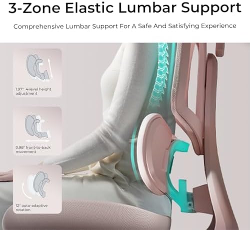 Hbada E3 Air Ergonomic Office Chair  Big and Tall Office Chair   with 3 Zone Dynamic Lumbar Support  3D Adjustable Headrest  3D Adjustable Armrests  Swivel  Black No Footrest 