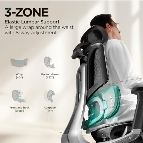 Hbada E3 Air Ergonomic Office Chair  Big and Tall Office Chair   with 3 Zone Dynamic Lumbar Support  3D Adjustable Headrest  3D Adjustable Armrests  Swivel  Grey No Footrest
