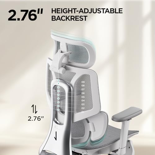 Hbada E3 Air Ergonomic Office Chair  Big and Tall Office Chair   with 3 Zone Dynamic Lumbar Support  3D Adjustable Headrest  3D Adjustable Armrests  Swivel  Grey No Footrest