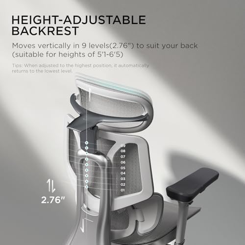 Hbada E3 Pro Ergonomic Office Chair  Big and Tall Office Chair   with 3 Zone Dynamic Lumbar Support  4D Adjustable Headrest  6D Adjustable Armrests  Swivel  Grey