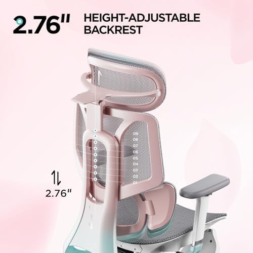 Hbada E3 Pro Ergonomic Office Chair  Big and Tall Office Chair   with 3 Zone Dynamic Lumbar Support  4D Adjustable Headrest  6D Adjustable Armrests  Swivel  Grey