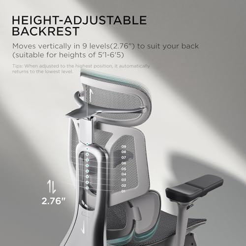 Hbada E3 Pro Ergonomic Office Chair  Big and Tall Office Chair   with 3 Zone Dynamic Lumbar Support  4D Adjustable Headrest  6D Adjustable Armrests  Swivel  Grey