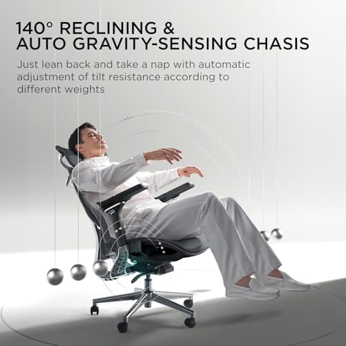 Hbada E3 Pro Ergonomic Office Chair  Big and Tall Office Chair   with 3 Zone Dynamic Lumbar Support  4D Adjustable Headrest  6D Adjustable Armrests  Swivel  Grey