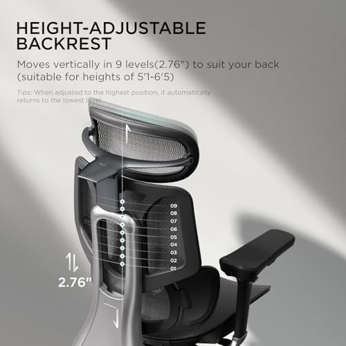 Hbada E3 Pro Ergonomic Office Chair  Big and Tall Office Chair   with 3 Zone Dynamic Lumbar Support  4D Adjustable Headrest  6D Adjustable Armrests  Swivel  Grey
