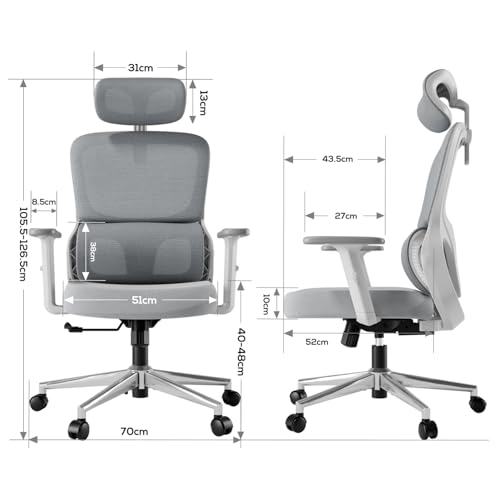 Hbada P2 Office Chair  Computer Chair with 3D Adjustable Lumbar Support  Swivel Ergonomic Office Chairs  Adjustable 2D Headrest with PU Wheels White