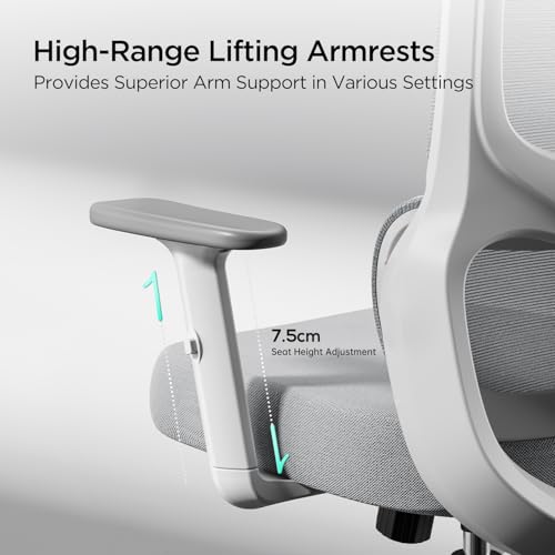 Hbada P2 Office Chair  Computer Chair with 3D Adjustable Lumbar Support  Swivel Ergonomic Office Chairs  Adjustable 2D Headrest with PU Wheels White