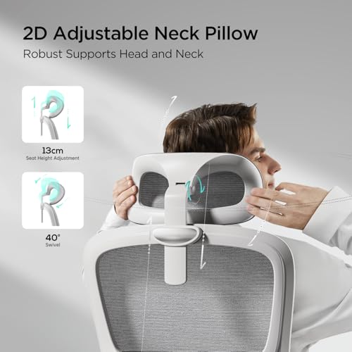 Hbada P2 Office Chair  Computer Chair with 3D Adjustable Lumbar Support  Swivel Ergonomic Office Chairs  Adjustable 2D Headrest with PU Wheels White