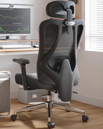 Hbada P3 Ergonnomic Office Chair with 2D Adjustable Lumbar Support  Office Chair with Adjustable Headrest and Armrest  145  Stepless Tilt Function  Black No Footrest 