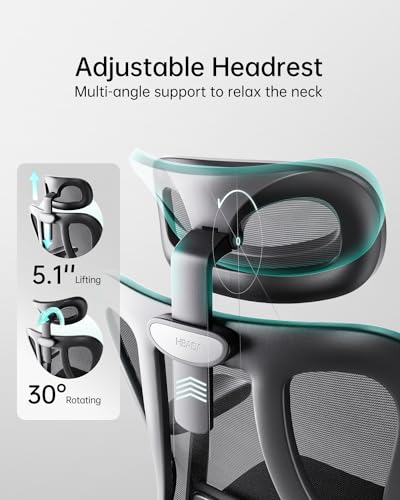 Hbada P3 Ergonnomic Office Chair with 2D Adjustable Lumbar Support  Office Chair with Adjustable Headrest and Armrest  145  Stepless Tilt Function  Black No Footrest