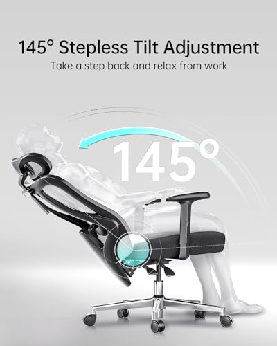 Hbada P3 Ergonnomic Office Chair with 2D Adjustable Lumbar Support  Office Chair with Adjustable Headrest and Armrest  145  Stepless Tilt Function  Black No Footrest