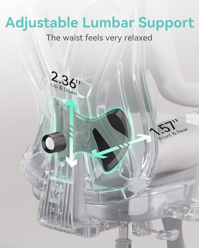 Hbada P5 Ergonomic Office Chair  Desk Chair with Adjustable Lumbar Support and Height  Comfortable Mesh Computer Chair with Footrest 2D Headrest  Swivel Tilt Function Black