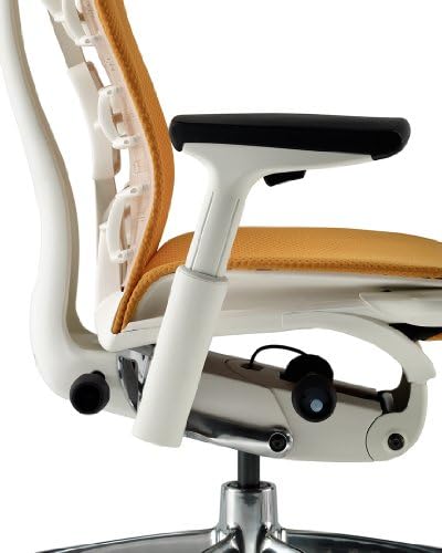 Herman Miller Embody Ergonomic Office Chair   Fully Adjustable Arms and Carpet Casters   Black Rhythm