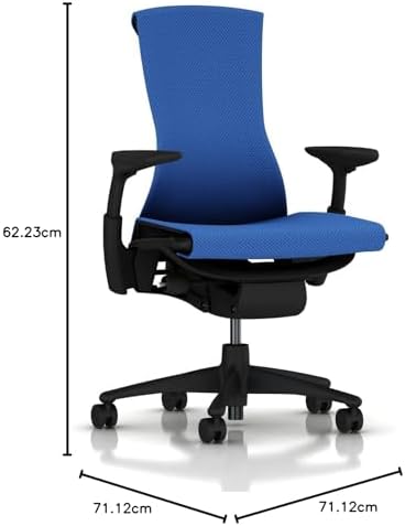 Herman Miller Embody Ergonomic Office Chair   Fully Adjustable Arms and Carpet Casters   Black Rhythm