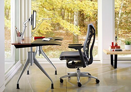 Herman Miller Embody Ergonomic Office Chair   Fully Adjustable Arms and Carpet Casters   Black Rhythm