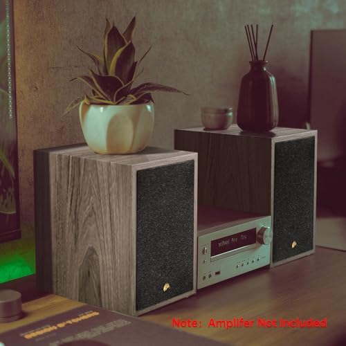 HiVi Swans Oasis 140 Passive Speakers  2 Way HiFi Bookshelf Speakers for TV Desktop Stereo or Home Theater Surround Sound   Needs Amplifier or Receiver to Operate