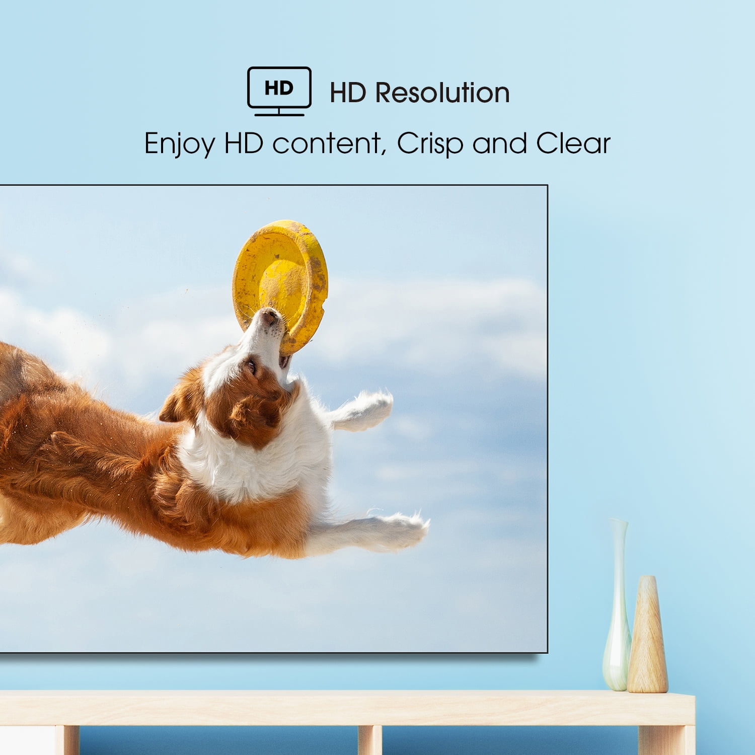 Hisense 40 Inch Class H4 Series FHD Roku Smart TV  40H4030F1    1080P Full HD LCD Screen  LED TV  DTS TruSurround Sound  Motion Rate 120  Gaming Mode