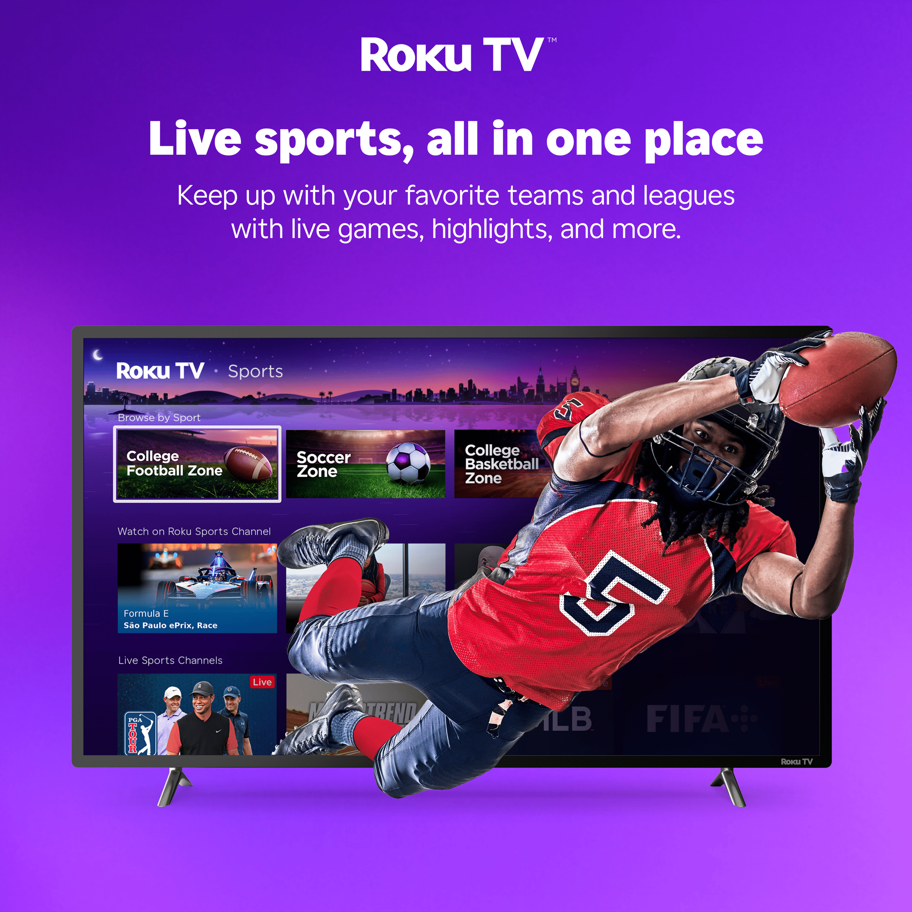Hisense 40 Inch Class H4 Series FHD Roku Smart TV  40H4030F1    1080P Full HD LCD Screen  LED TV  DTS TruSurround Sound  Motion Rate 120  Gaming Mode