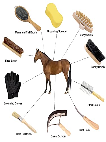 Horse Grooming Kit  12 Piece   Brushes  Storage Bag  Sweat Scraper  Mane Comb  Grooming Gloves  Horse Gift for Girls  Black