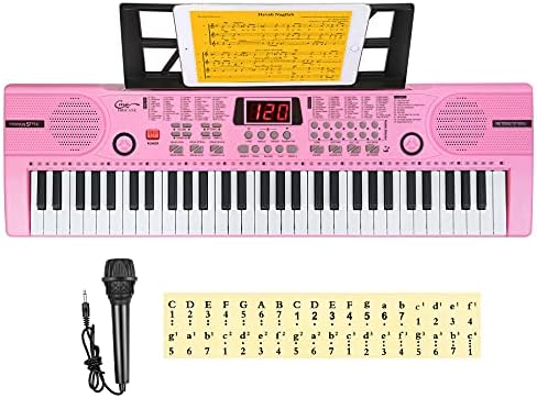 Hricane Keyboard Piano Lighted Keys for Beginner Adults Teens Kids  61 Key Electronic Music Keyboard with Teaching Modes Powered by USB or Battery with LCD Display Microphone Headphone Jack