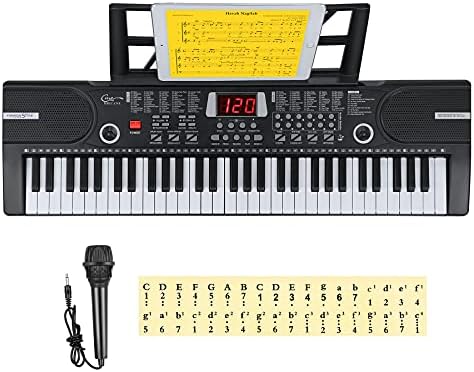 Hricane Keyboard Piano Lighted Keys for Beginner Adults Teens Kids  61 Key Electronic Music Keyboard with Teaching Modes Powered by USB or Battery with LCD Display Microphone Headphone Jack