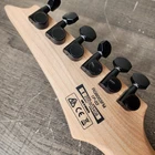 Ibanez Electric Guitar RG6003FM Gray Redwood Back Road Runner Padded Gig Bag 