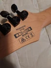 Ibanez Electric Guitar RG6003FM Transparent Gray woodgrain front Redwood back