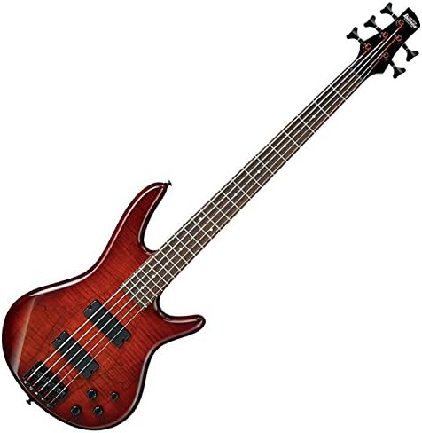 Ibanez Gio GSR205 5 String Electric Bass  Weathered Black