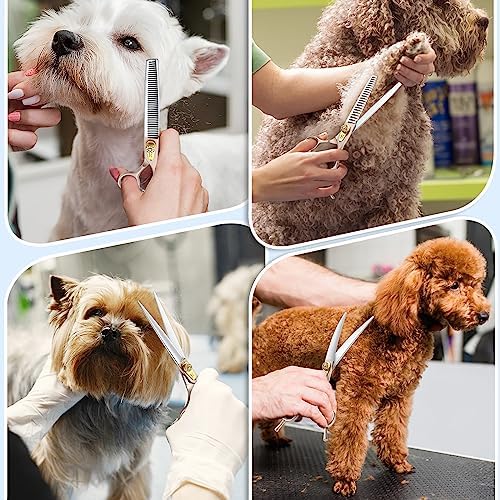 JASON Professional Dog Grooming Scissors Set   6 in 1 Sharp Shears Set With 7 Thinning  Chunker  Straight  Curved Shears and Comb for Cat Pet  Rosegold