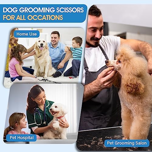 JASON Professional Dog Grooming Scissors Set   6 in 1 Sharp Shears Set With 7 Thinning  Chunker  Straight  Curved Shears and Comb for Cat Pet  Rosegold